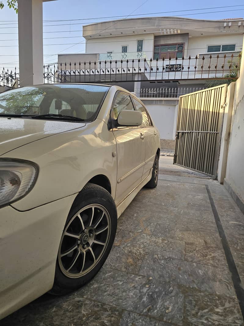 corolla  Dumba shape 4