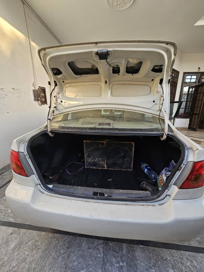 corolla  Dumba shape 6