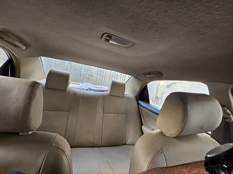 corolla  Dumba shape 8