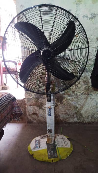 beco fan