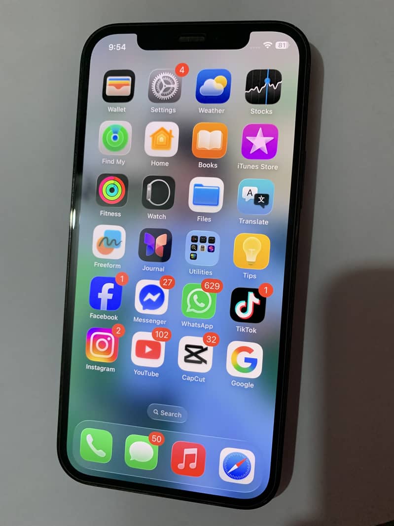 Apple iPhone 12 1