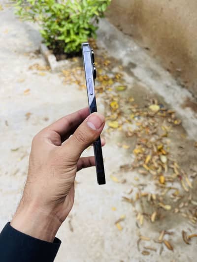 Plz Serious Buyer