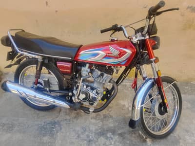 125 lush 2022. All Punjab number