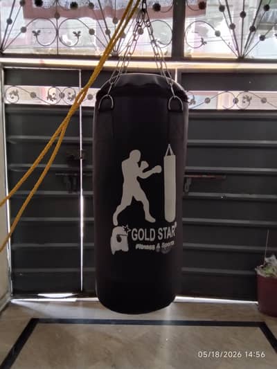 punching bag with gloves