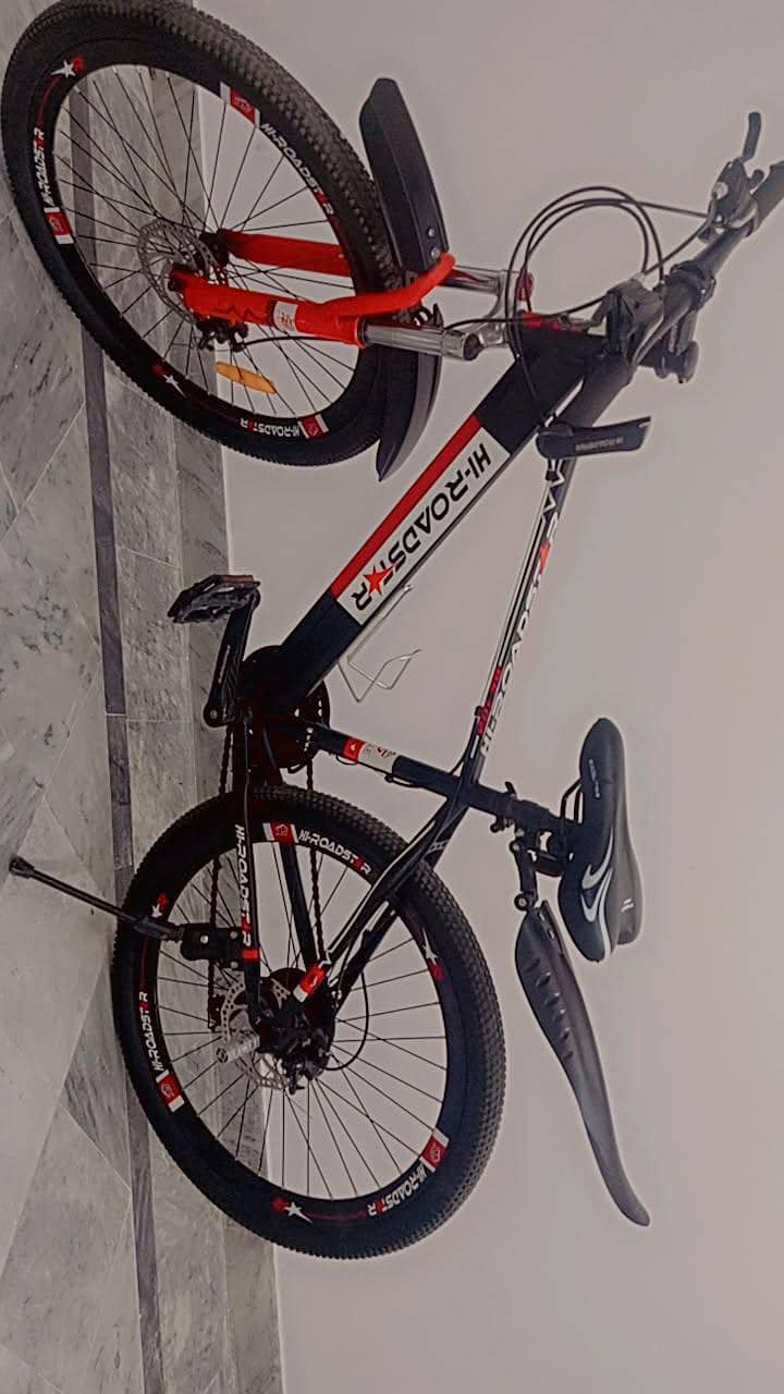 bicycle 0