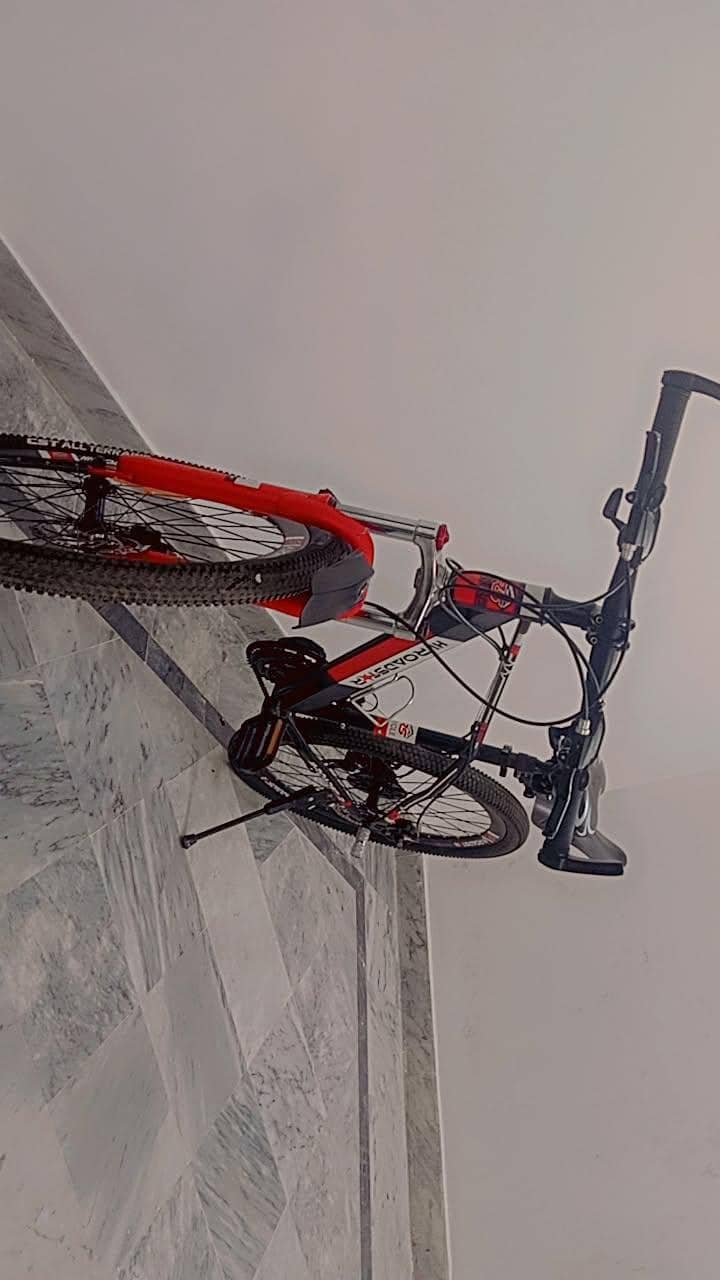 bicycle 1