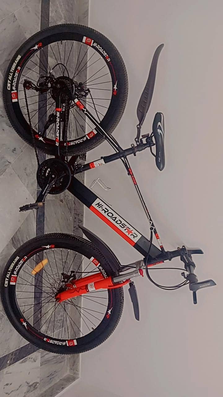 bicycle 2