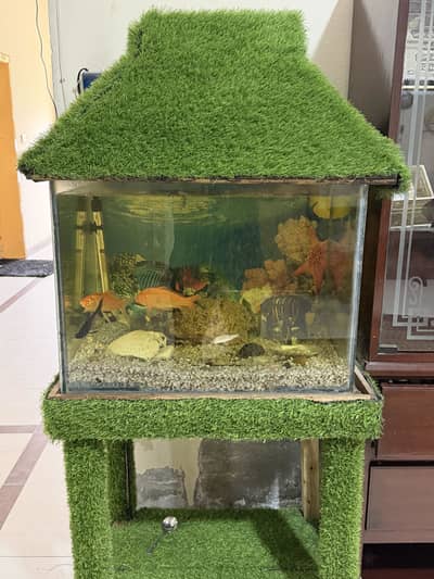 aquarium