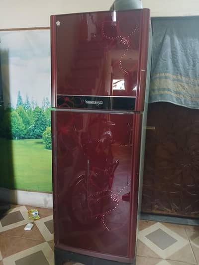 Orient Medium Size