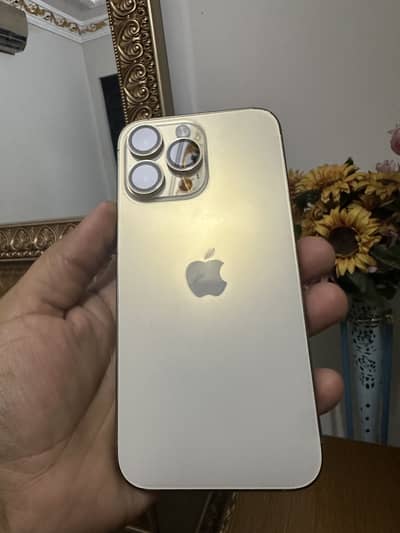 Iphone 14 pro max pta approved