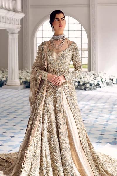 Suffuse Bridal ( Ambrosia)