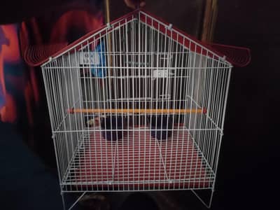 Cage for Parrots