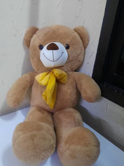 Teddy bear