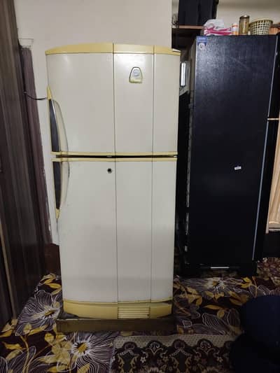 Pel Medium Refrigerator