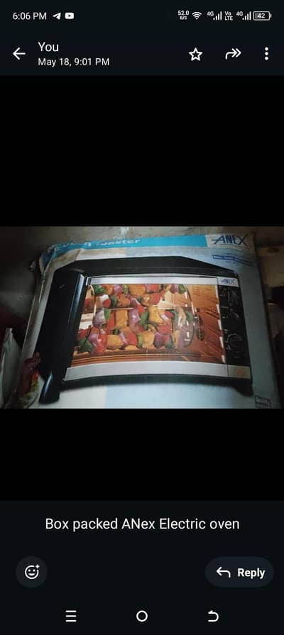Anex Electric Oven big size