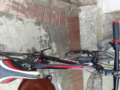 phoenix bicycle