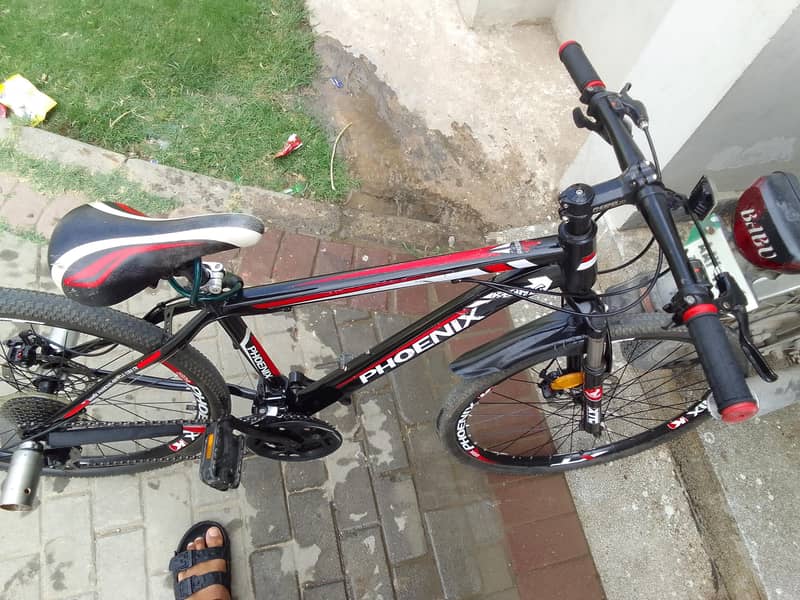 phoenix bicycle 1