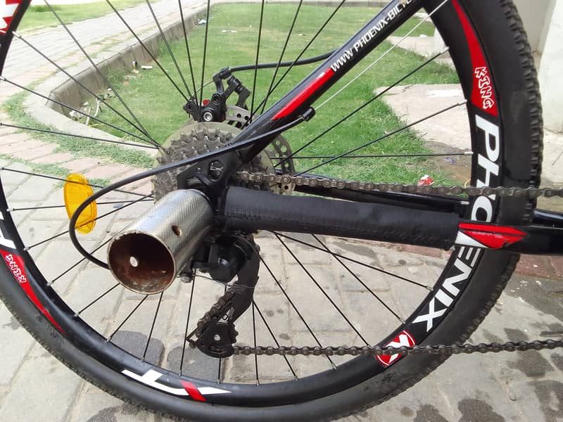 phoenix bicycle 2