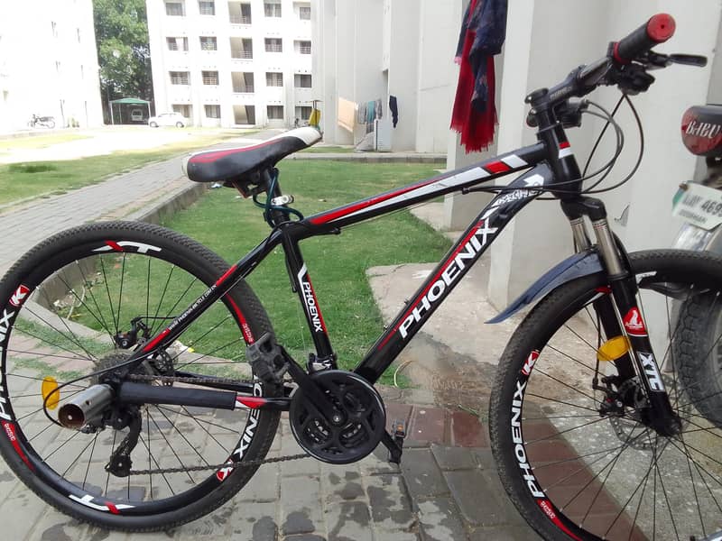 phoenix bicycle 3