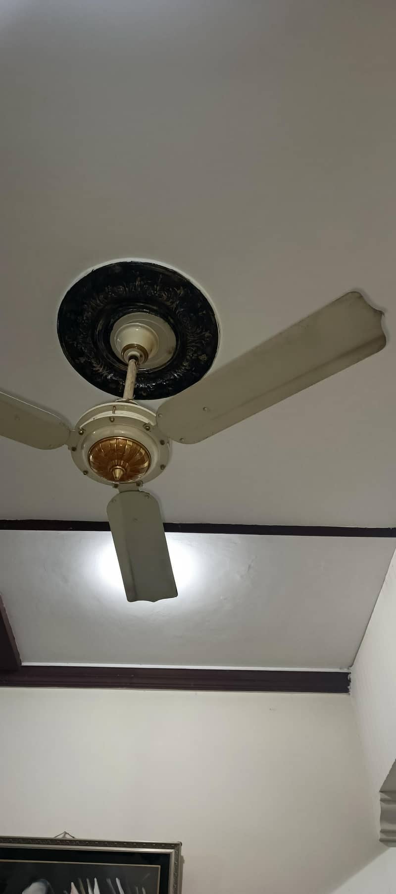 ceiling fans 0