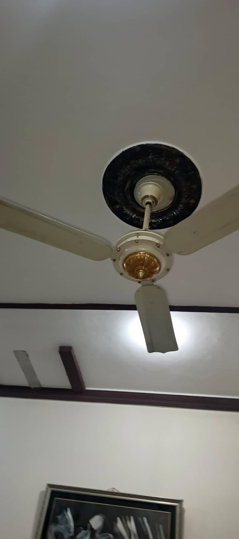 ceiling fans 1