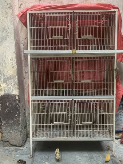 6 khano wala cage hai 03104878901 whatsapp pe rabta karey