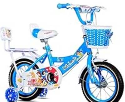 2 cycle's