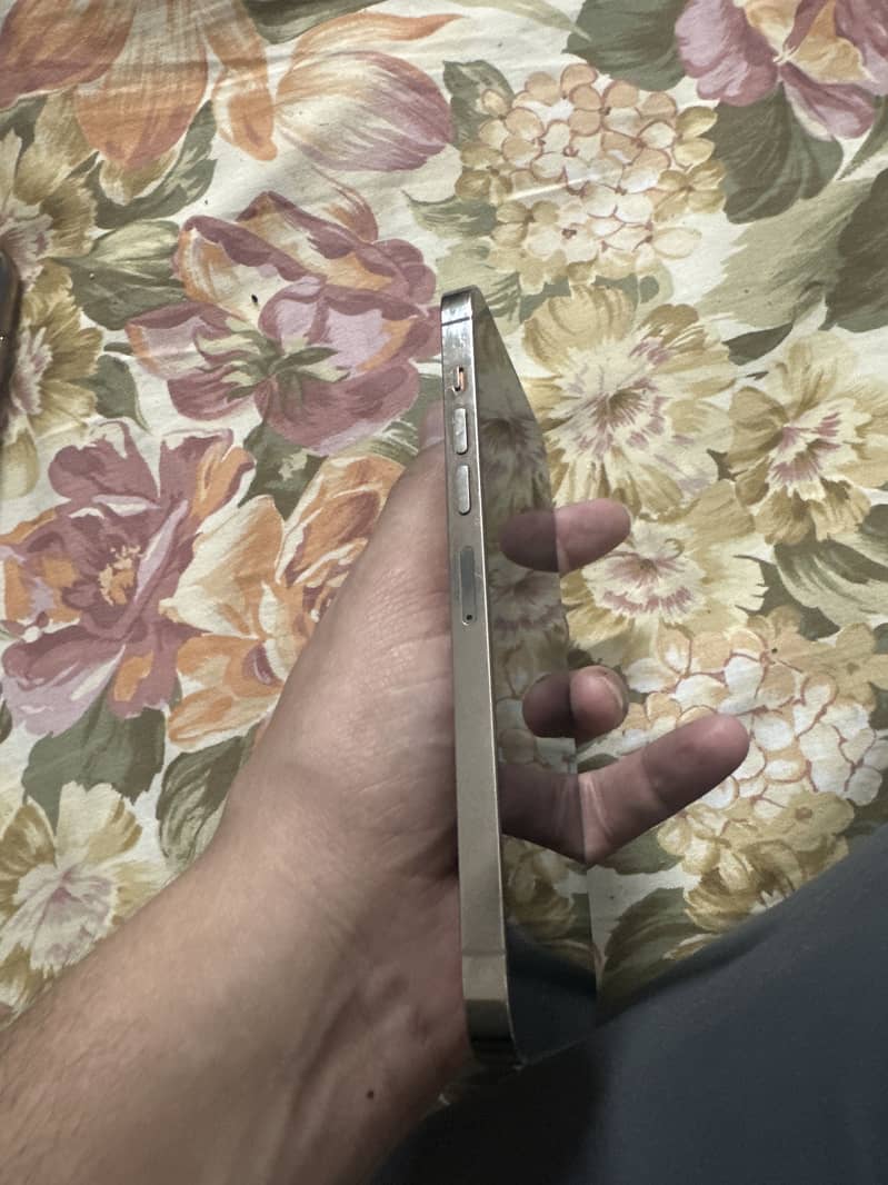 13 pro max 2
