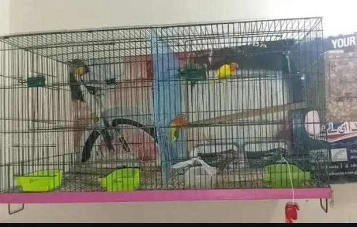 Good condition 0