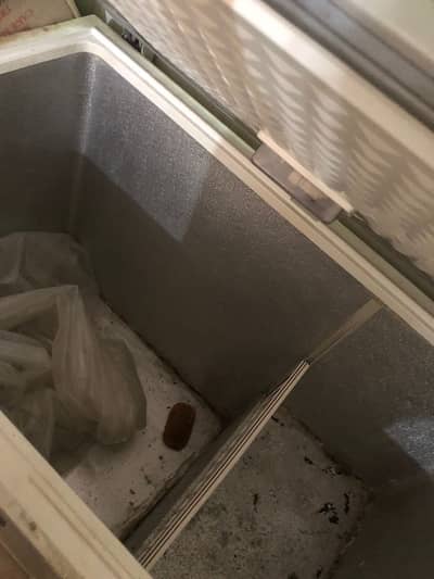Freezer for sale good condition