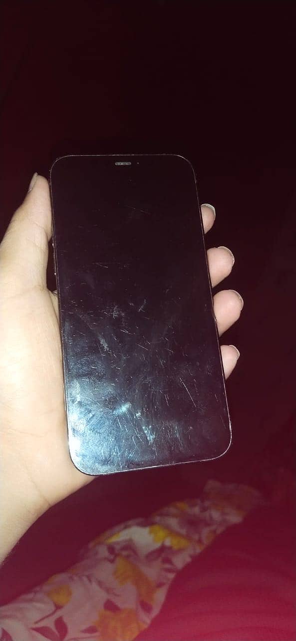 iPhone 12 pro 0
