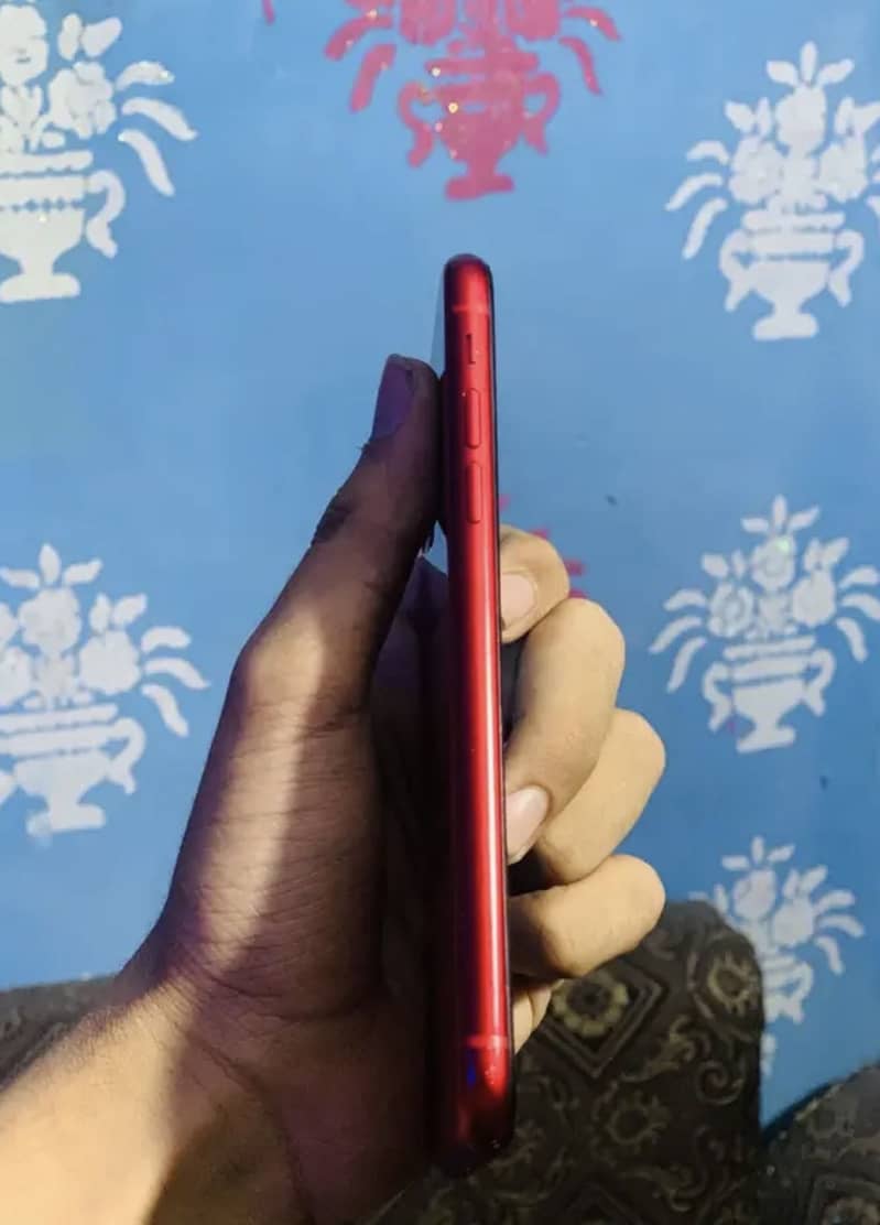 iPhone 11 3
