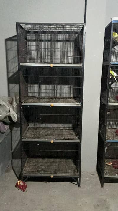 Cage angel full