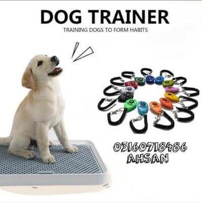 Dog Trainer
