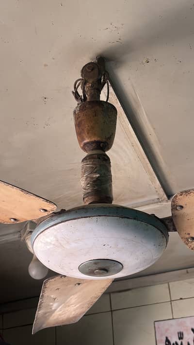 Ceiling Fan