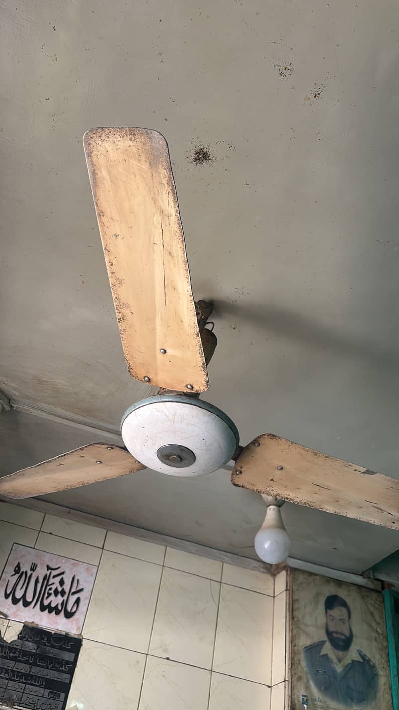 Ceiling Fan 1