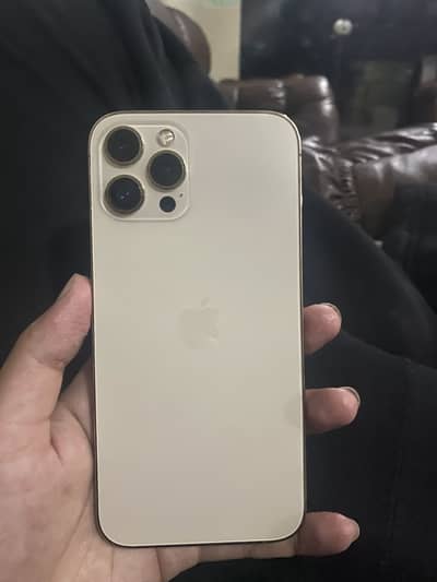 iPhone 12 pro max