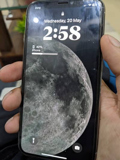 Apple iPhone X