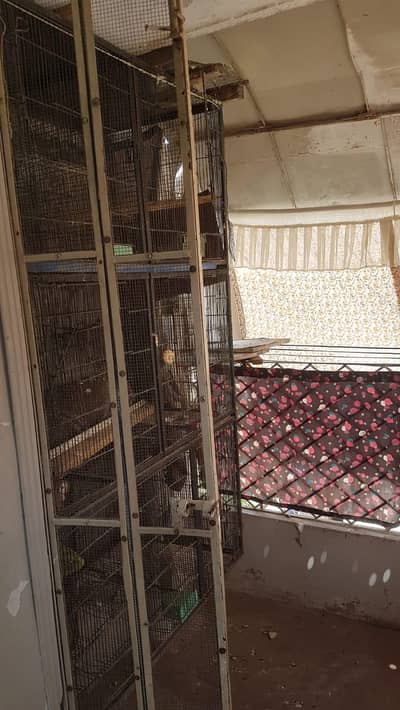 cage for sale
