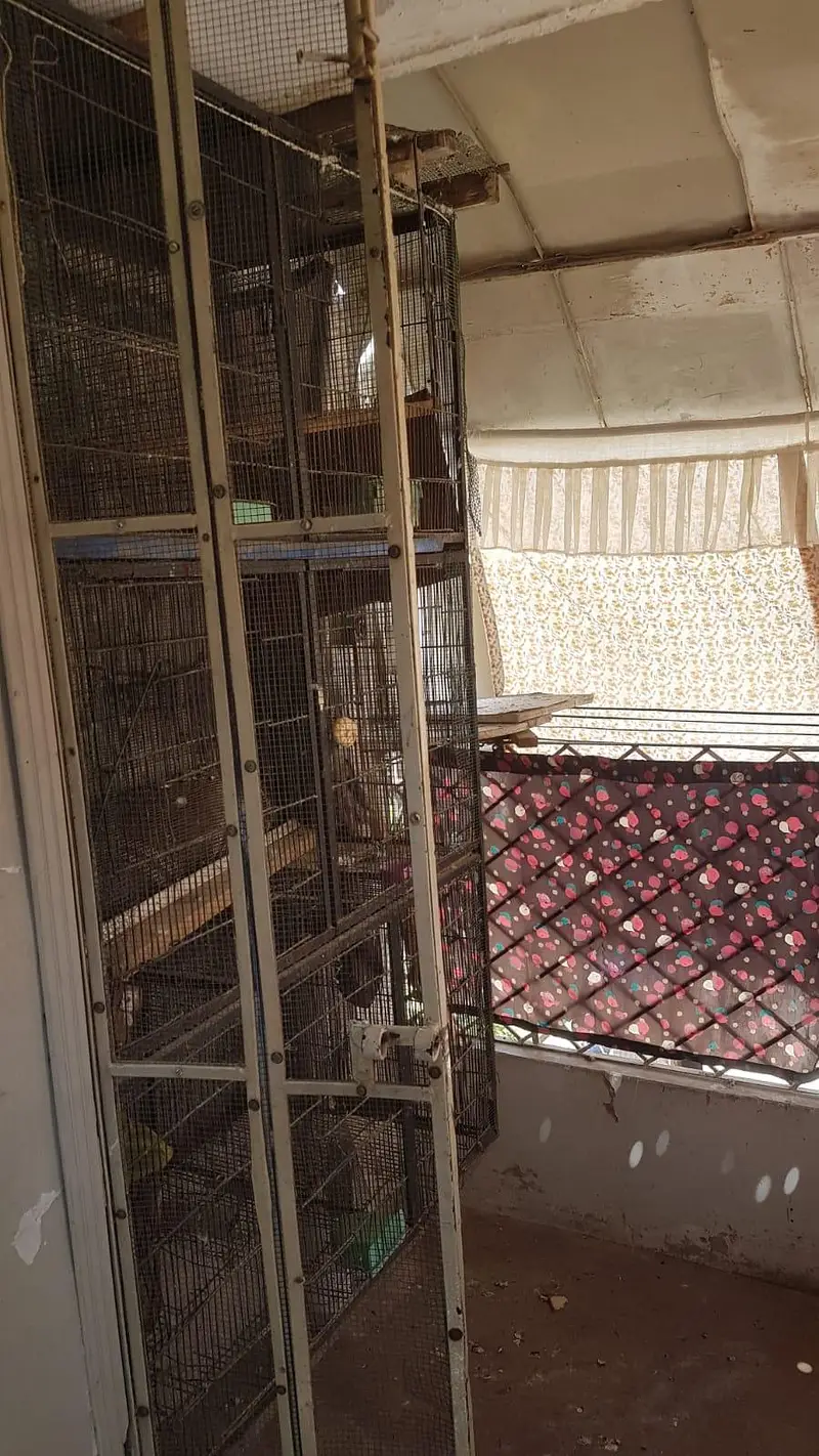 Iron heavy cage for sale