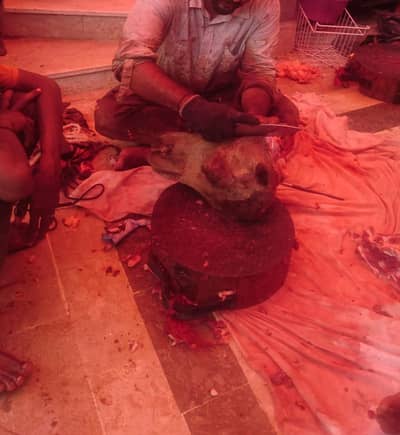 butcher qasai Camel'cow,Bakra,katta