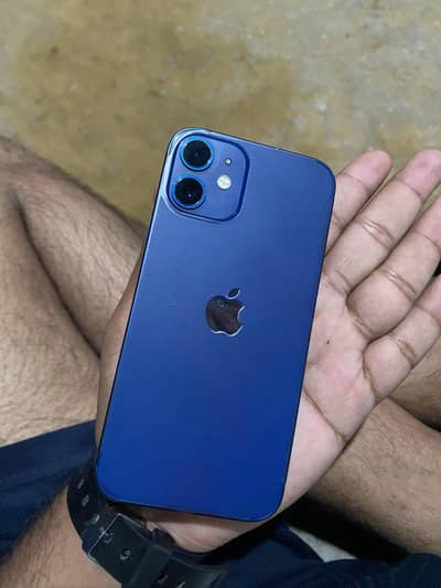 I phone 12 mini