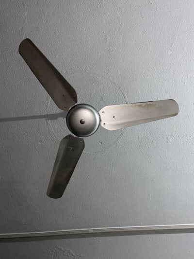 New Fan