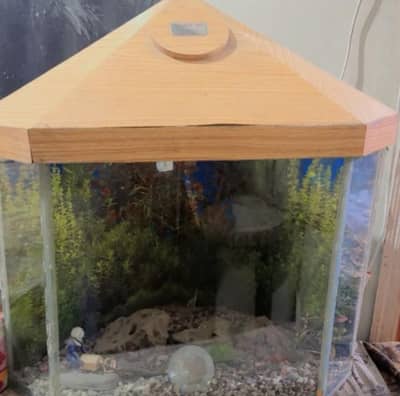 FISH MAINTAINED ACQARIUM