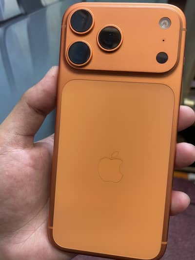 17 PRO MAX