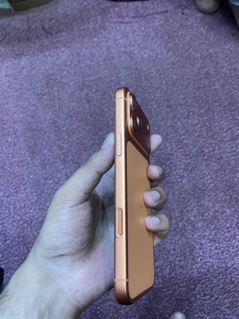 17 PRO MAX 2