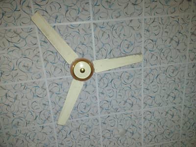 Ceiling fan 220 volt