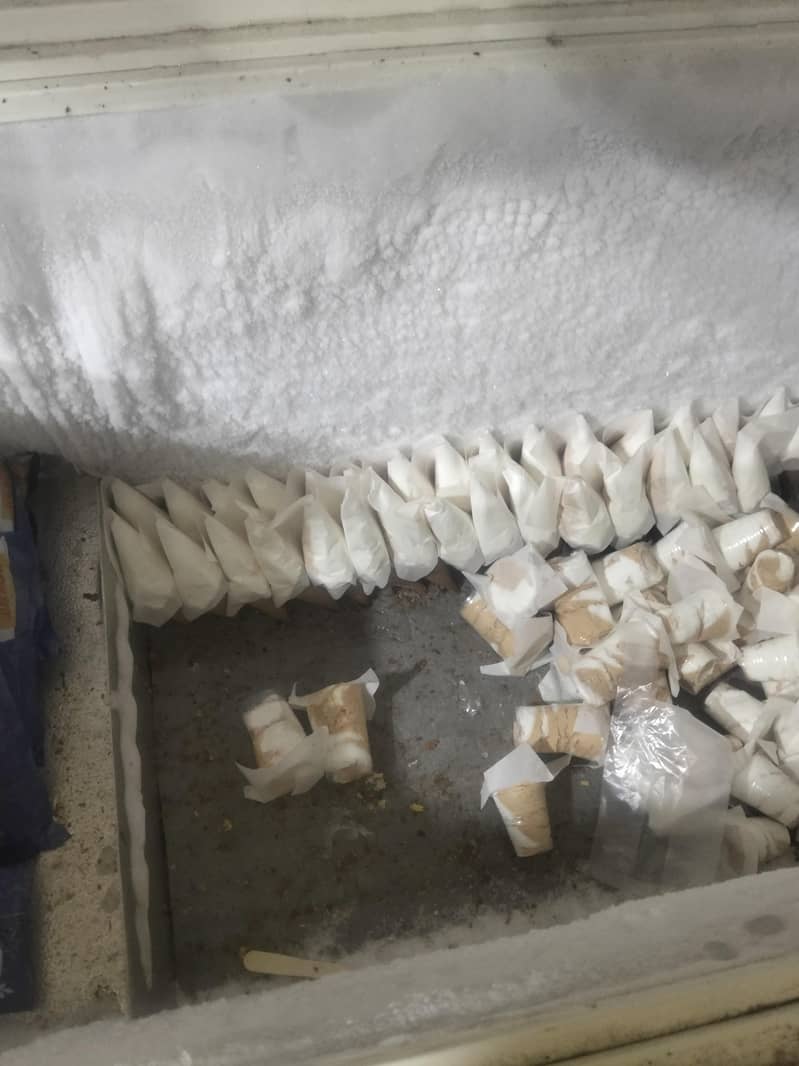 waves deep freezer 3