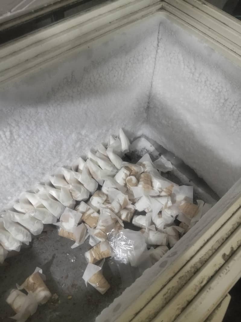 waves deep freezer 4