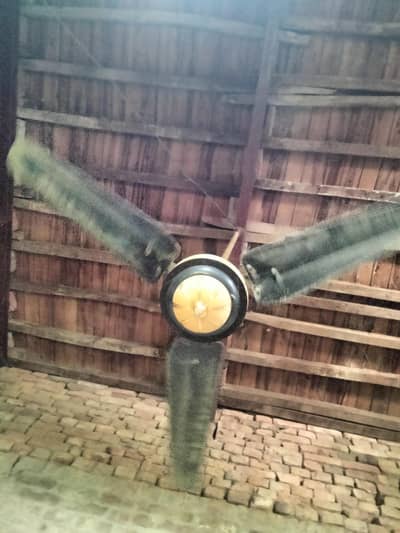 Ac fan